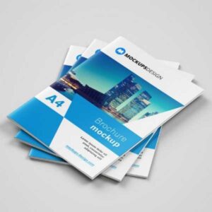 bulk brochure printing in delhi ncr