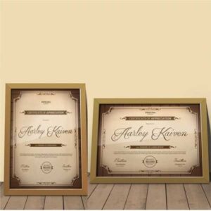 framed certificates printing in delhi ncr